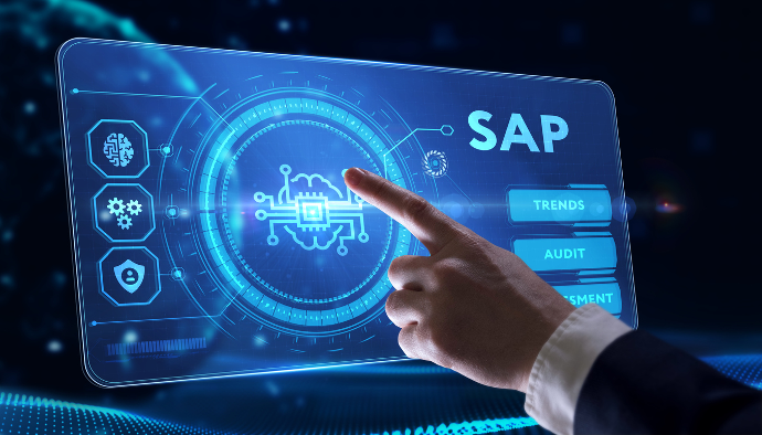 Consulting SAP